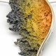 PENJOLL FADA COLOR GROC (ORFEGA)
